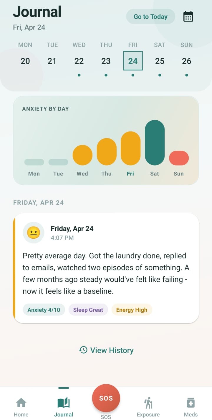 Daily journal with anxiety chart